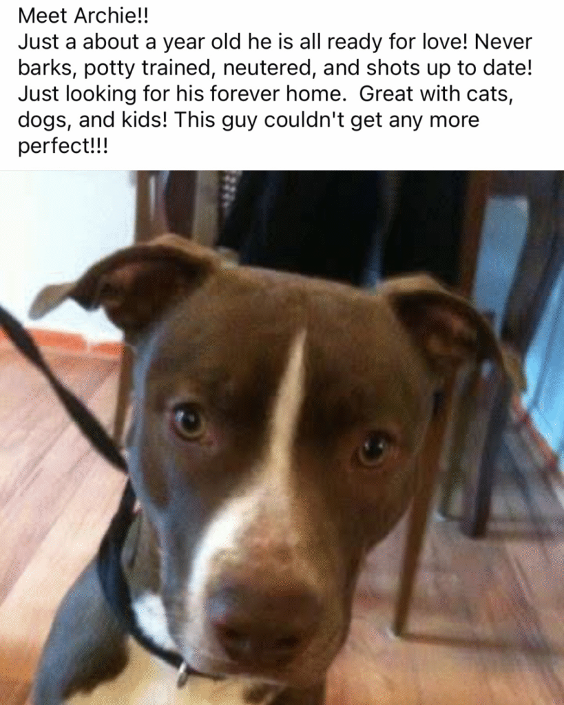 Our Rescue Stories 11