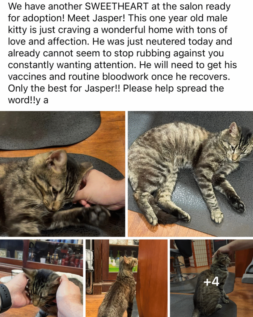 Our Rescue Stories 6