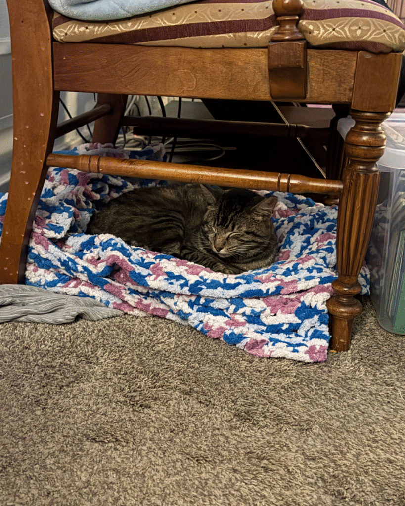 Our Rescue Stories 9